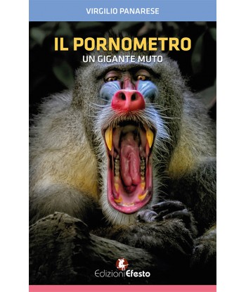 Il pornometro