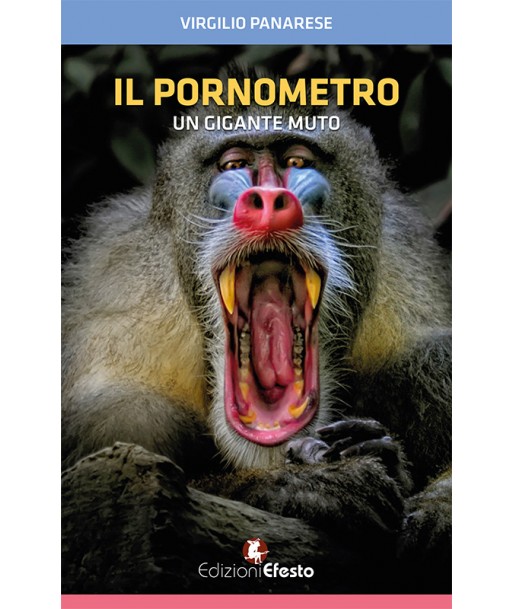 Il pornometro